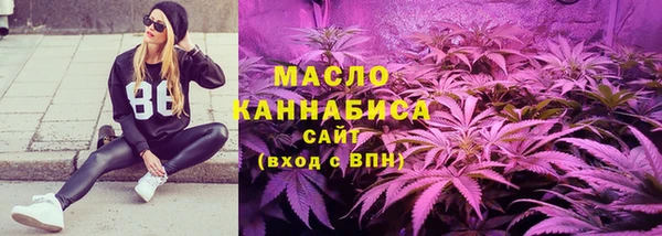 СК Туринск