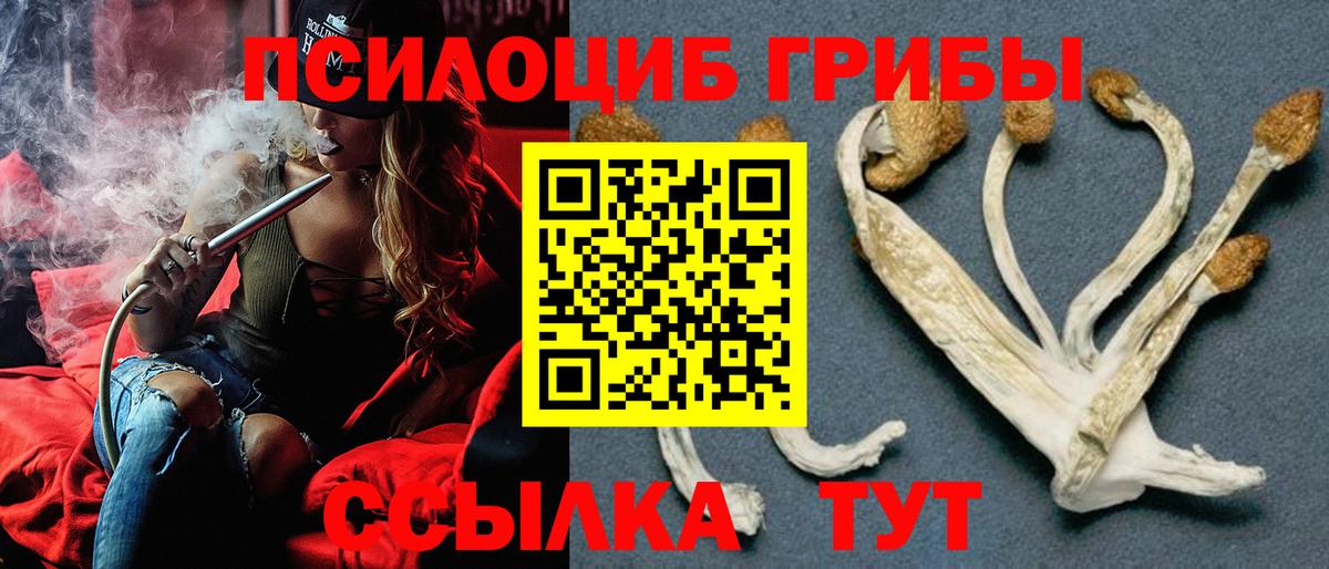 Галлюциногенные грибы Magic Shrooms  Дубна  купить  сайты  Галлюциногенные грибы мухоморы 