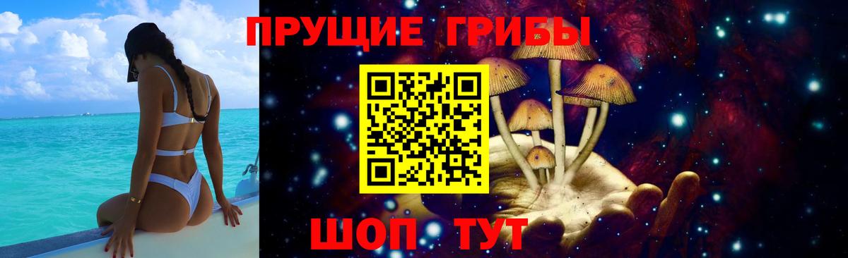 Псилоцибиновые грибы Cubensis Дубна