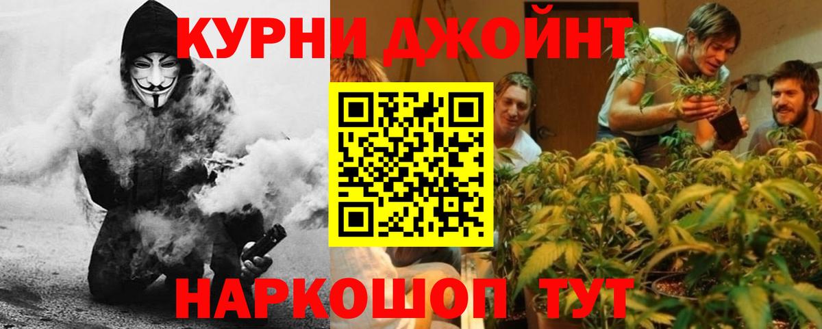 Альфа ПВП Дубна